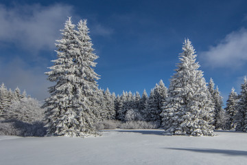 Fototapeta na wymiar winter in hessen