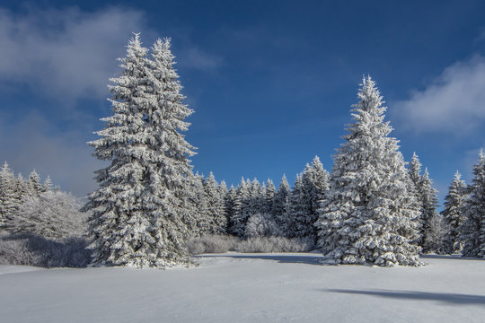 winter in hessen © haiderose