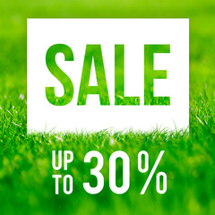 Spring sale poster. 30 off discount promotion sale.