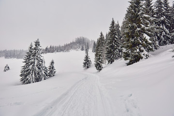 Fototapeta na wymiar Mountain road during winter