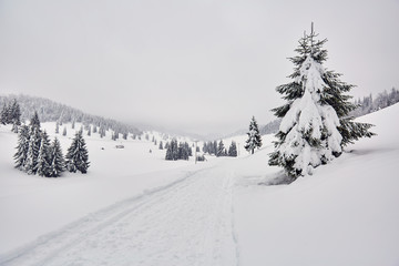 Mountain road during winter