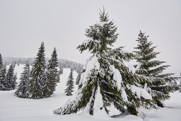 Winter landscape in the mountains