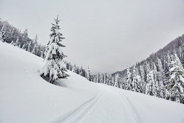 Mountain road during winter