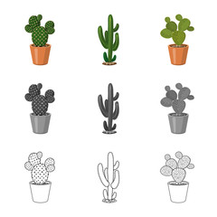 Vector illustration of cactus and pot icon. Set of cactus and cacti stock symbol for web.