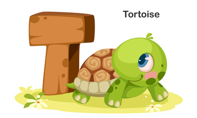 T for Tortoise