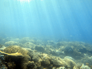 Sun rays underwater