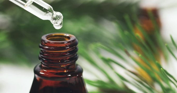 pine essential oil dripping from pipette to the bottle