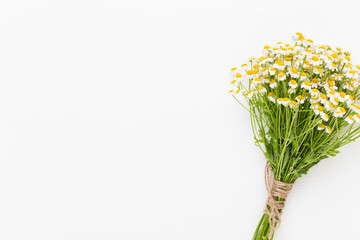 Chamomile aromatherapy theme , handmade cosmetic. space for textessential  and medical flowers herbs