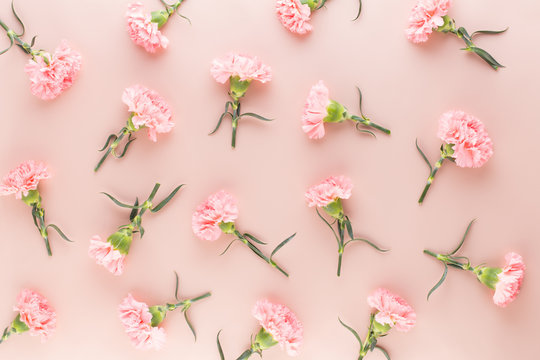 Fototapeta Pink carnation flowers on pastel background. Flat lay, top view, copy space.