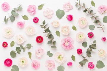 Beautiful colored ranunculus flowers on a white background.Spring greeting card.