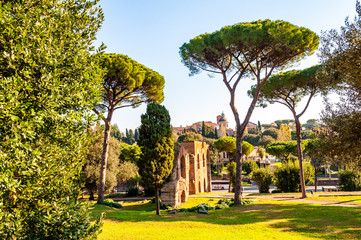 Fototapeta na wymiar Scenic evergreen park with growing pines, velvet grass lawns and remains, ruins of Aquaduct of Claudius at the Palatine hill in Rome