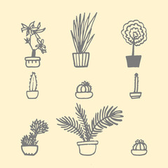 houseplants set. hand-drawn vector illustration