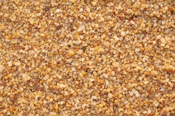 Macro of a clean ocean yellow sand texture