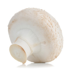 White Button Mushroom (Champignon) Isolated on White Background