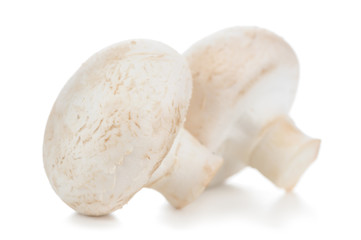 Two White Button Mushrooms (Champignon) Isolated on White Background