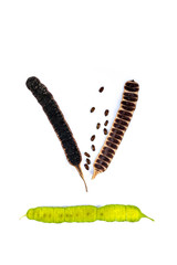 Seed Golden shower Close up