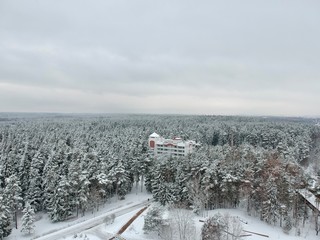 winter landscape with road and snow
