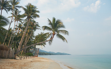 Fototapeta na wymiar Beautiful tropical beach and sea with coconut palm tree