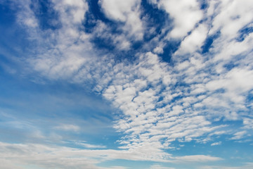 Fototapeta premium Beautiful white clouds with blue sky background.
