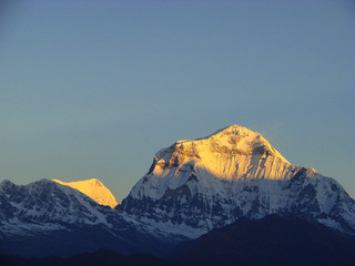 Annapurna mountain peaks in sunrise light. Snowy white peak. Trekking route to Annapurna - Nepal, Himalaya.