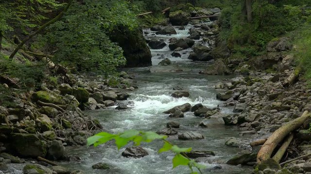Breitach mountain stream in Breitachklamm near Oberstdorf, Allgau, Swabia, Bavarian Alps, Bavaria, Germany, Europe