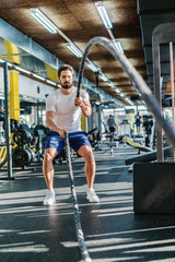 Fototapeta na wymiar Strong bearded serious Caucasian man doing exercises with battling ropes. Gym interior.