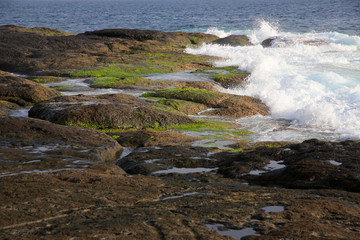 Küste mit Lavagestein, Insel Teneriffa, Kanaren, Spanien, Europa