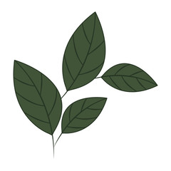 branch with leaves isolated icon