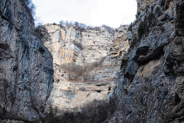 Wines of the slopes of the mountains and cliffs in a mountain gorge