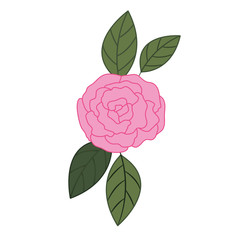 beautiful rose with leafs isolated icon