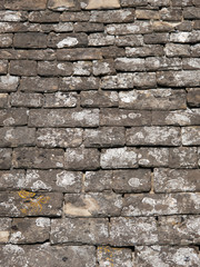 Lichen covered Cotswold stone roof tiles full frame background