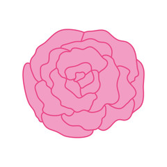beautiful rose isolated icon