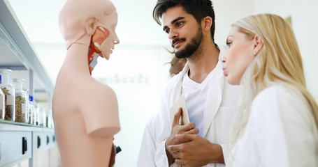 Students of medicine examining anatomical model in classroom