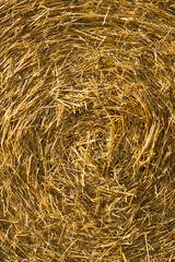 Round straw bale full frame background texture