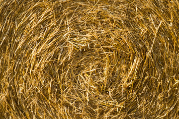 Round straw bale full frame background texture