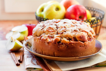 Homemade apple pie with cinnamon on the plate