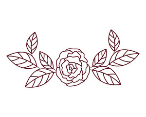 beautiful rose with leafs isolated icon