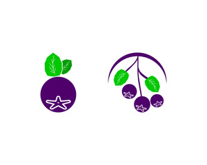 Set of Aronia berry logo template