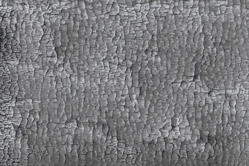 Searing texture of burnt black wood log after a forest fire