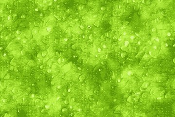Refreshing texture of a green fruit with water droplets on it