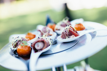 Fine, colorful and quality food for cocktails and receptions	