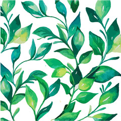 Green leaf on white background/ watercolor garden 