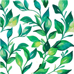 Green leaf on white background/ watercolor garden 