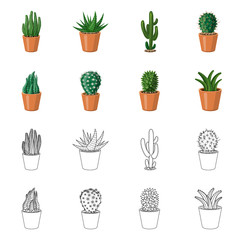 Vector design of cactus and pot symbol. Collection of cactus and cacti vector icon for stock.