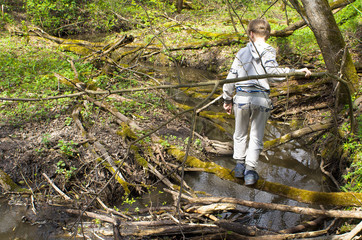 Boy tourist crossing the forest river on a fallen tree trunk bright summer day.