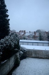 Jardin citadin bruxellois sous la neige (Belgique)
