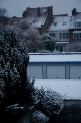 Jardin citadin bruxellois sous la neige (Belgique)
