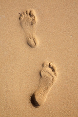 Footprints on sand on the beach