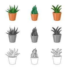 Vector design of cactus and pot symbol. Collection of cactus and cacti vector icon for stock.