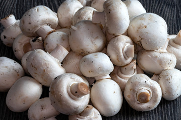 Gros champignons de Paris - Agaricus bisporus - en vrac